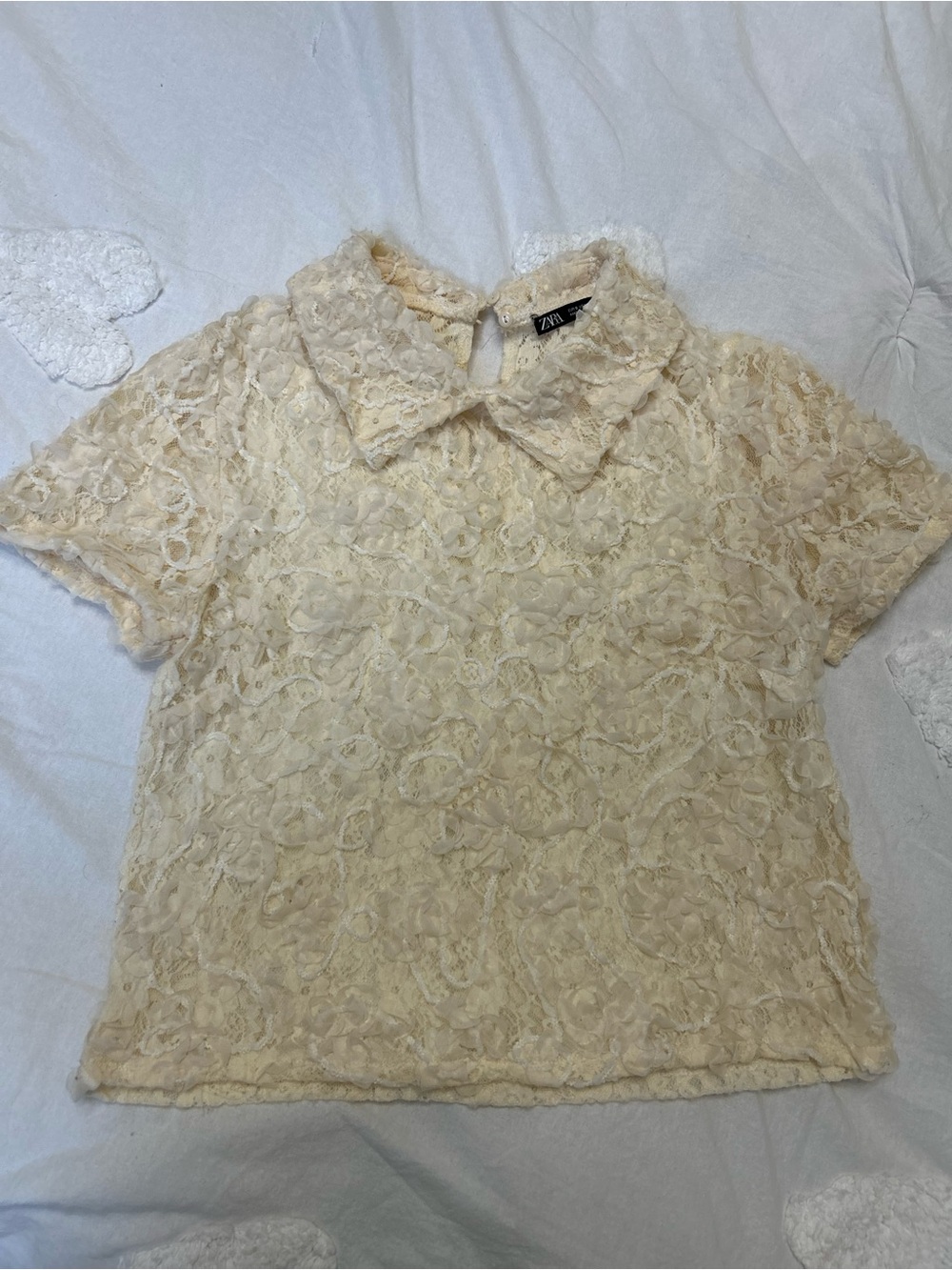 Zara Cream Lace Collared Short Sleeve Top